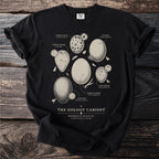 Black t-shirt with "The Oology Cabinet" and illustrated bird eggs with scientific names.