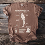 Brown t-shirt with Resplendent Quetzal illustration and biological details.
