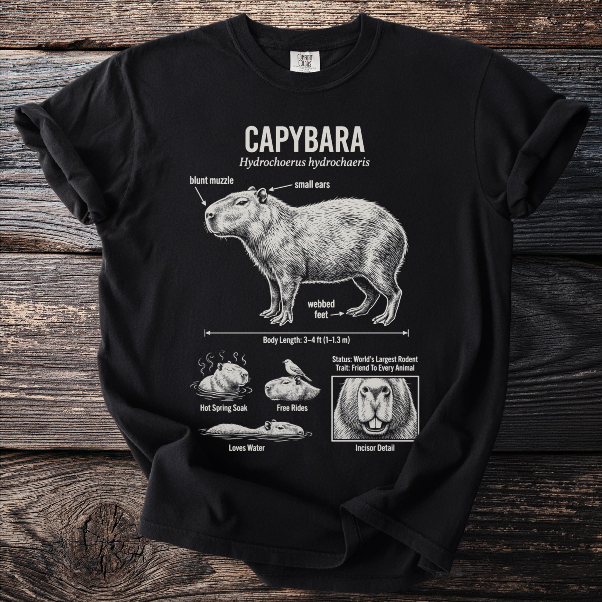 Black t-shirt with capybara illustration labeled blunt muzzle, small ears, and webbed feet.