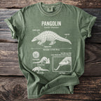 Green t-shirt with white graphic of a pangolin and its features.