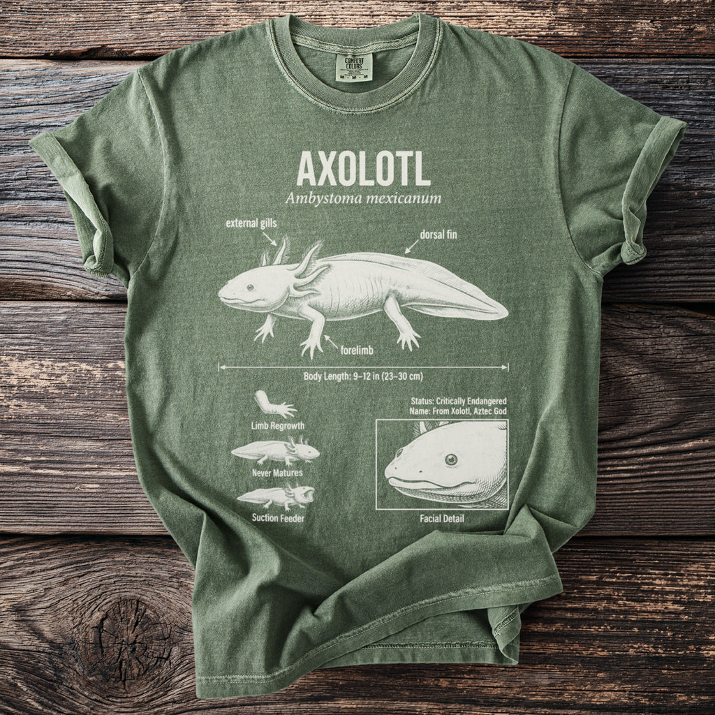 Green t-shirt graphic illustrating axolotl anatomy with labels and a facial detail.