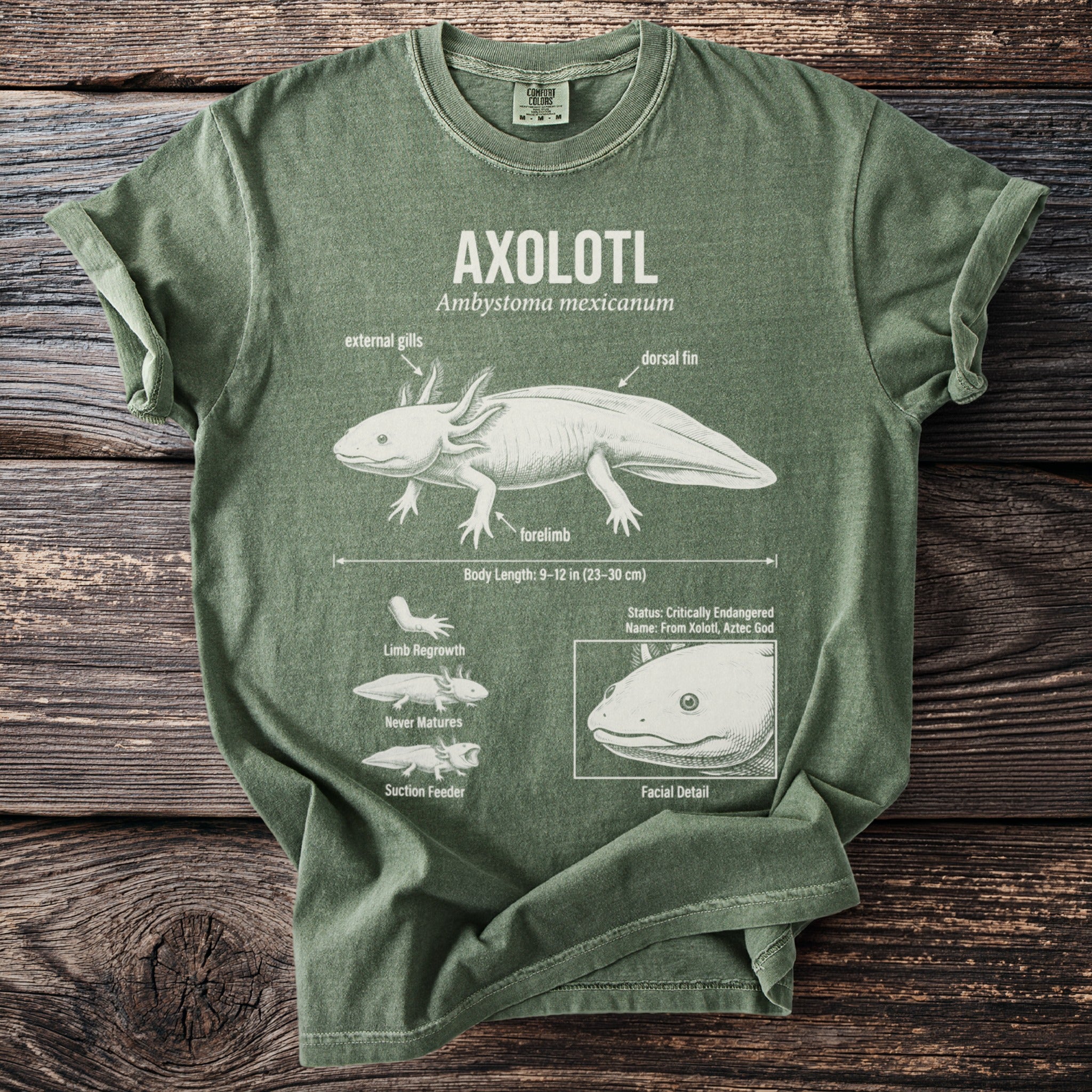 Green t-shirt graphic illustrating axolotl anatomy with labels and a facial detail.