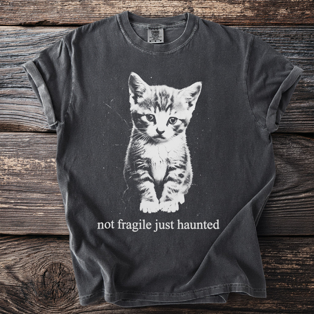 Dark grey t-shirt featuring a black and white graphic of a kitten and the text "not fragile just haunted".
