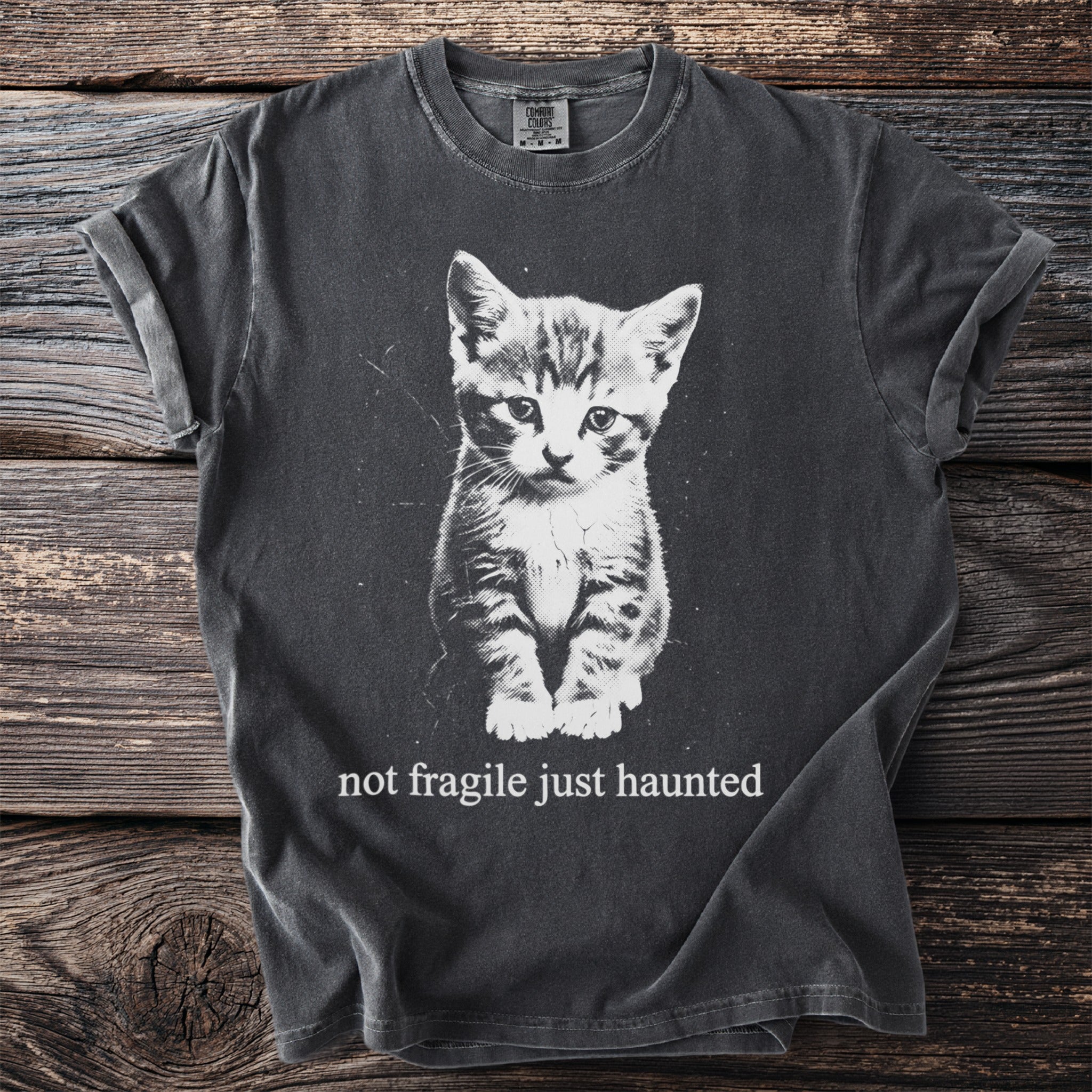 Dark grey t-shirt featuring a black and white graphic of a kitten and the text "not fragile just haunted".