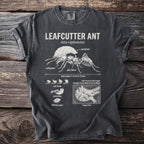 T-shirt with Leafcutter Ant illustration, body length, and fungus farm details.