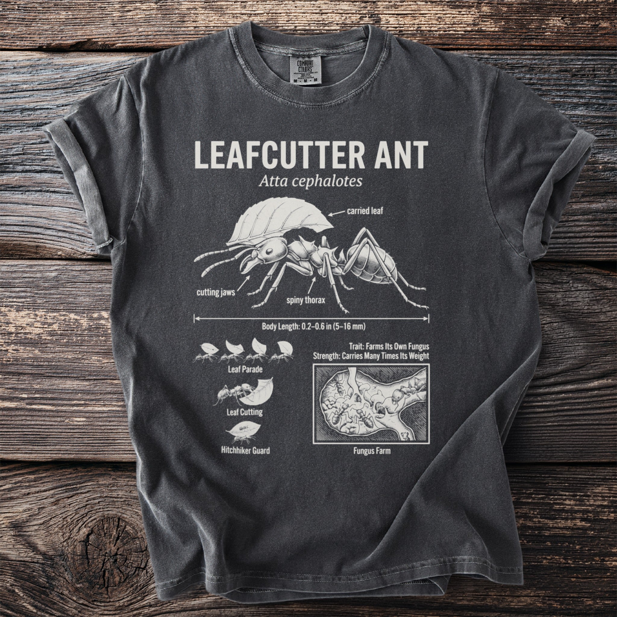 T-shirt with Leafcutter Ant illustration, body length, and fungus farm details.