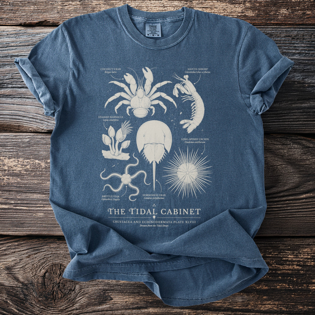 Blue t-shirt with illustrations of marine life and the text "The Tidal Cabinet".