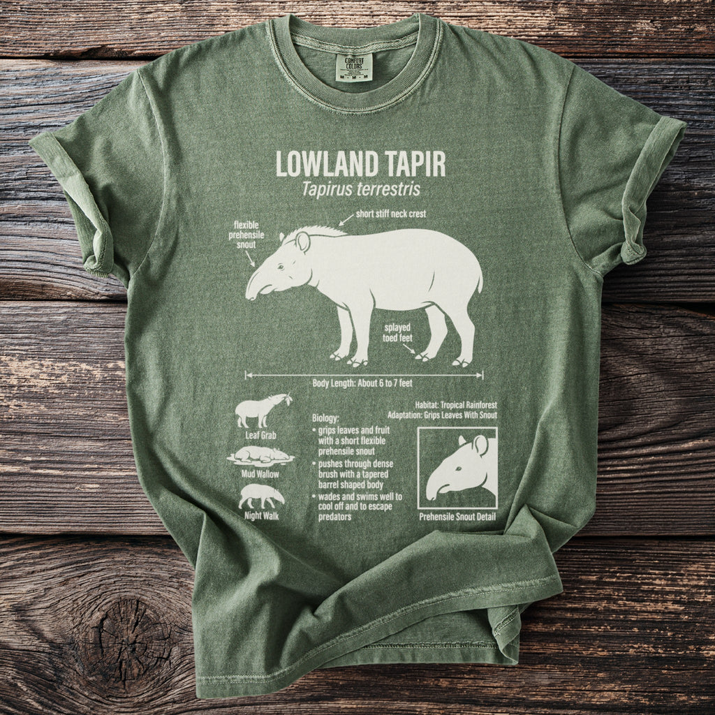 Green t-shirt graphic with lowland tapir anatomy details and description.