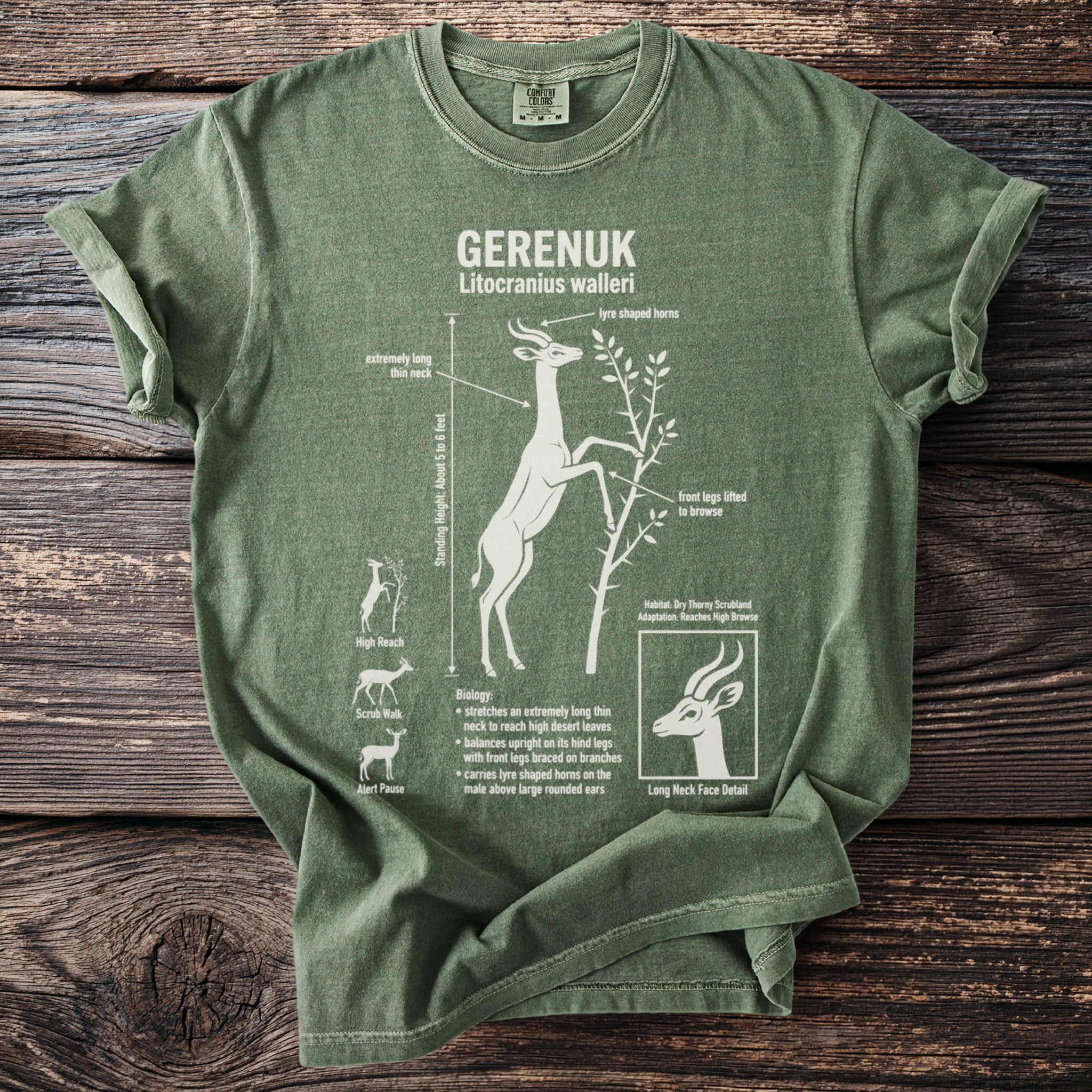 Green t-shirt with Gerenuk deer illustration and biological facts.