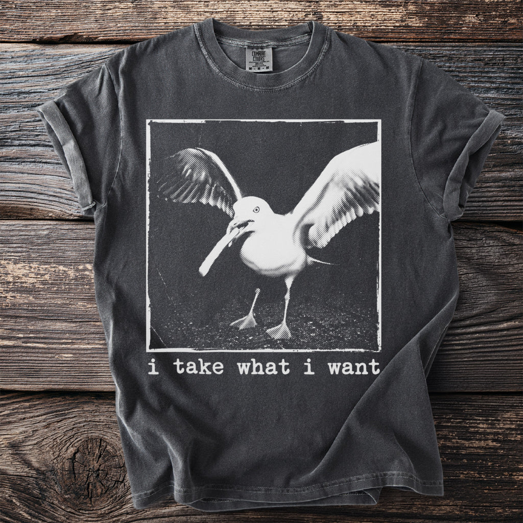 Dark grey t-shirt with a distressed seagull graphic and text "i take what i want".