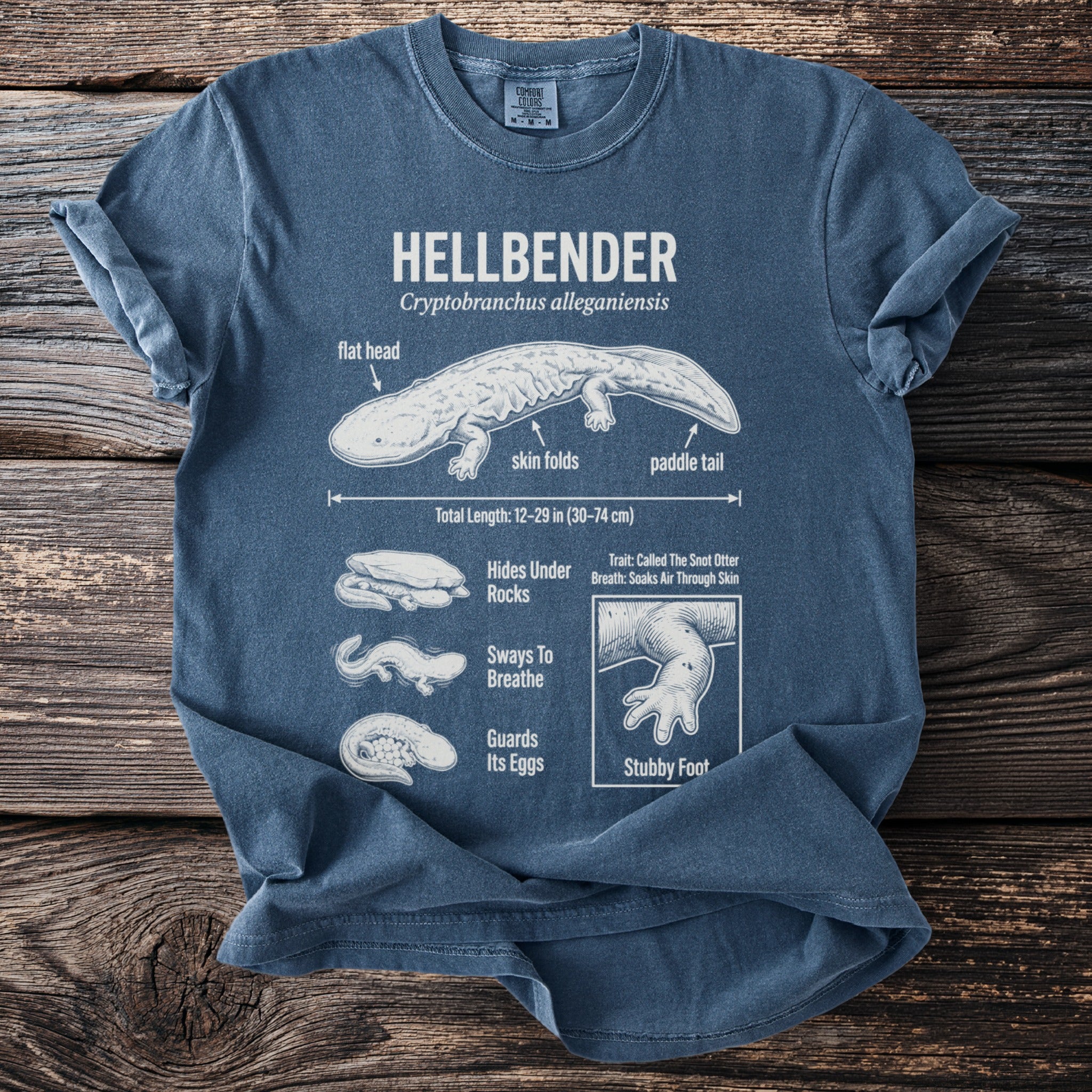Hellbender t-shirt featuring scientific illustration and facts about the amphibian.