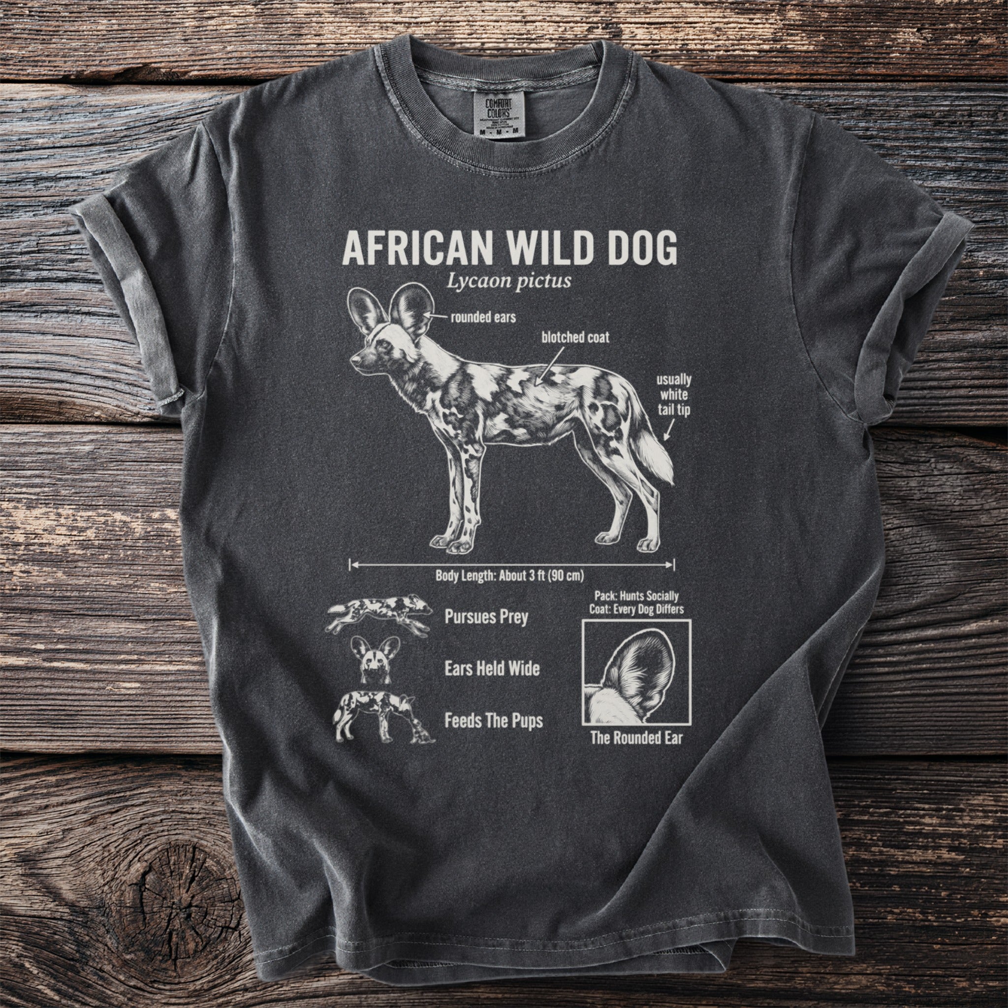 T-shirt featuring an African wild dog diagram with scientific and behavioral facts.
