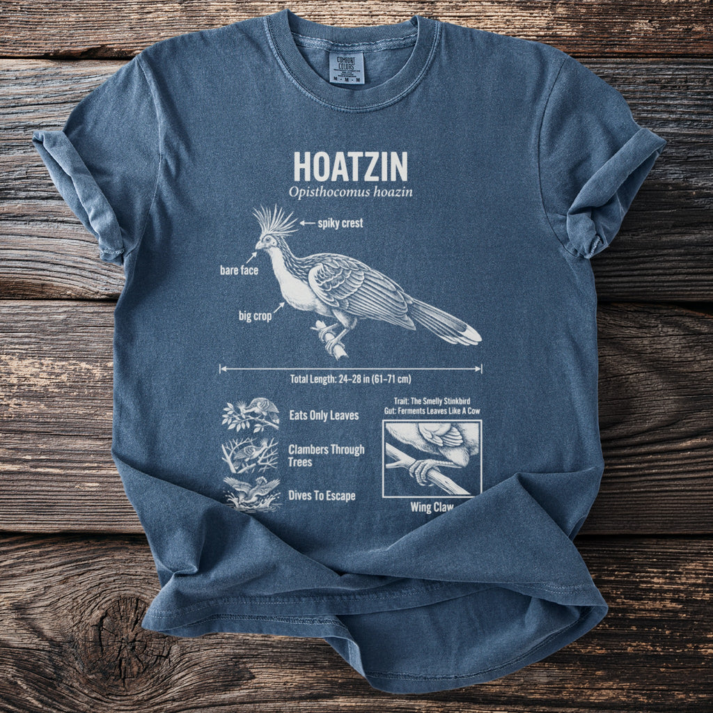 Blue t-shirt with Hoatzin bird illustration and descriptive text.