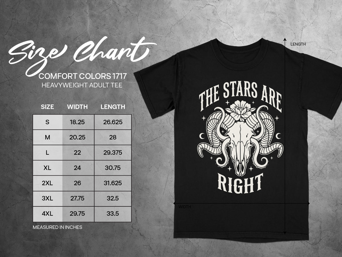 Comfort Colors 1717 size chart for heavyweight adult tee with graphic.