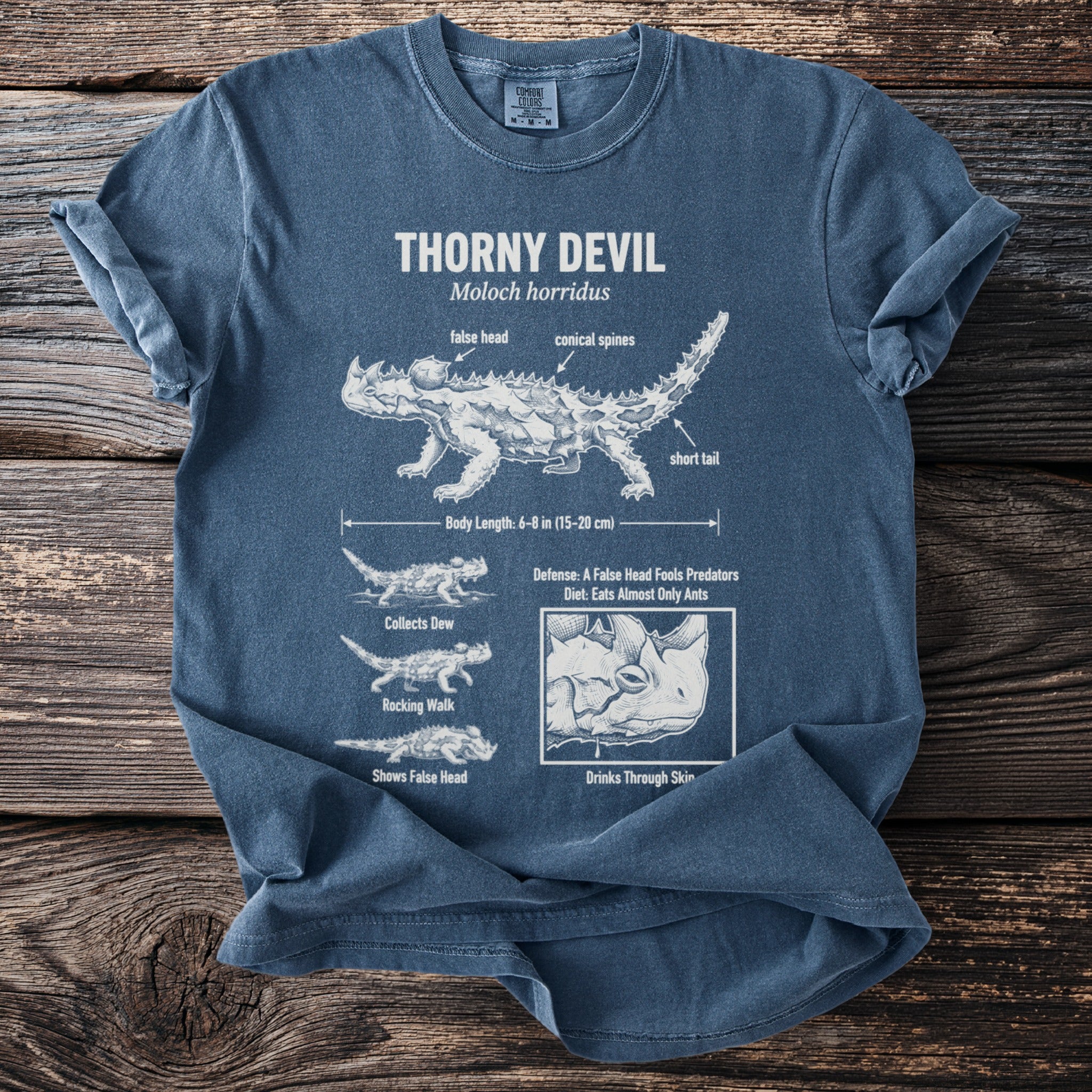 Blue t-shirt with Thorny Devil diagram, mentioning body length, defense, and diet.