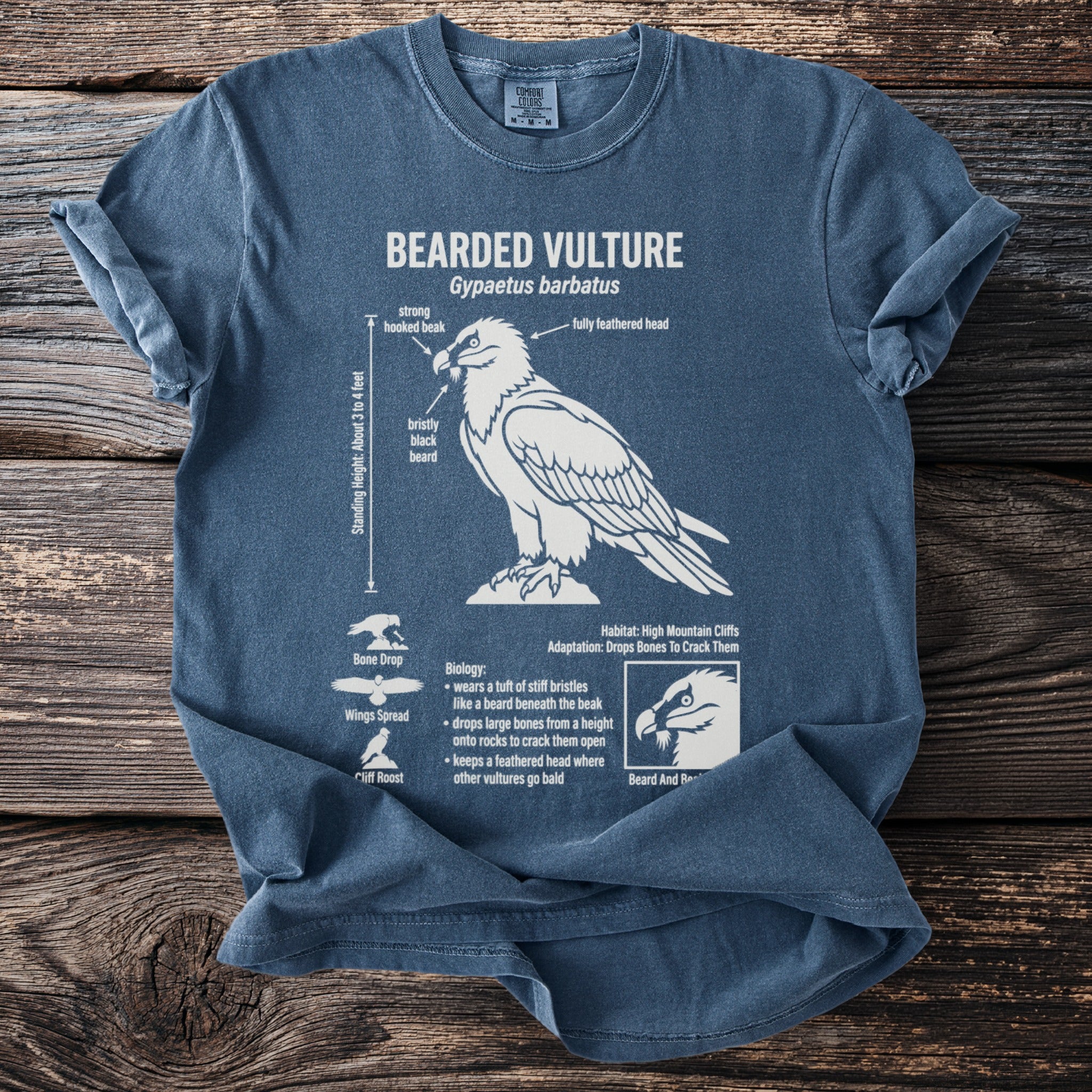 T-shirt with diagram labeled Bearded Vulture, Gypaetus barbatus, showing anatomy and behavior.