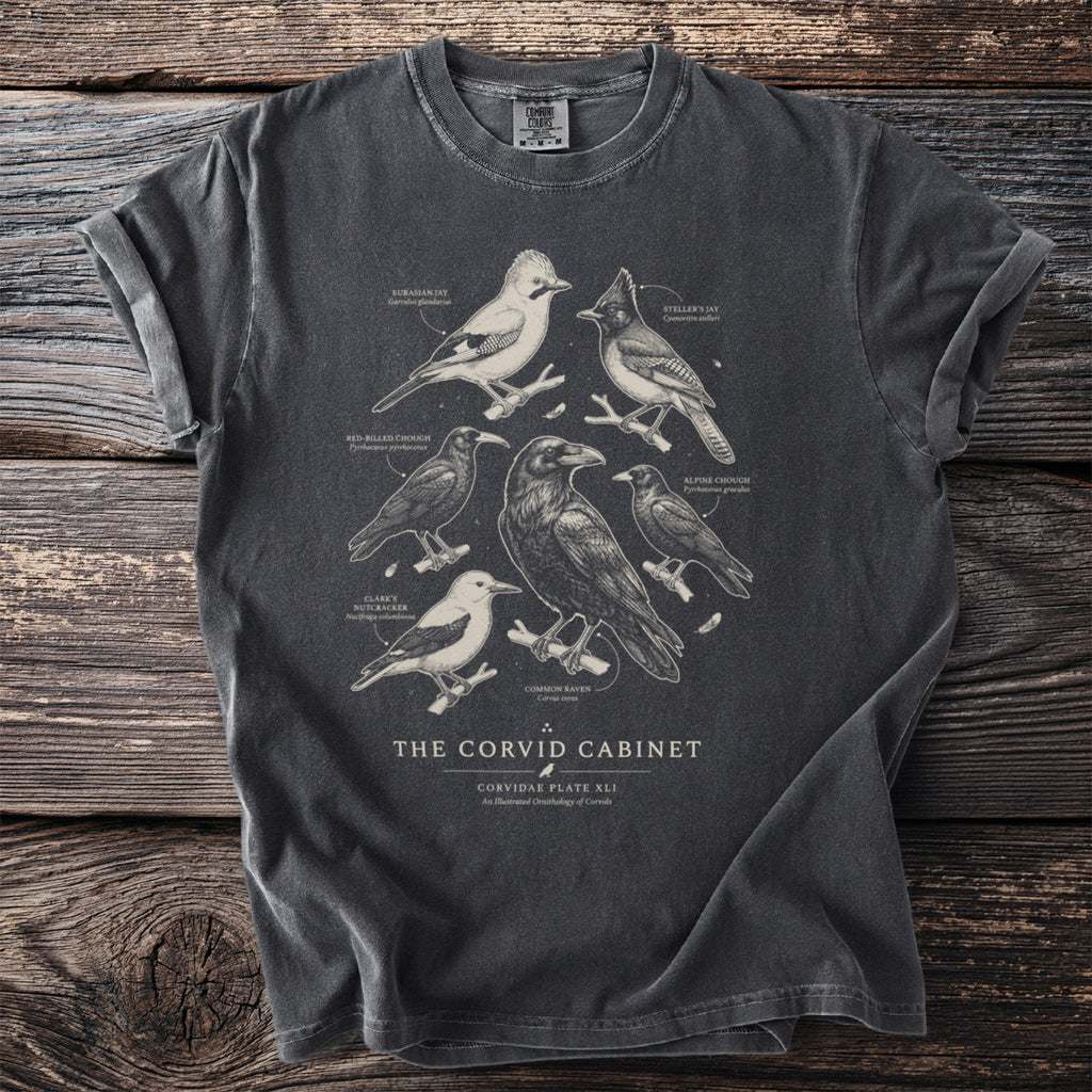 The Corvid Cabinet t-shirt features illustrations of various corvids with their names.