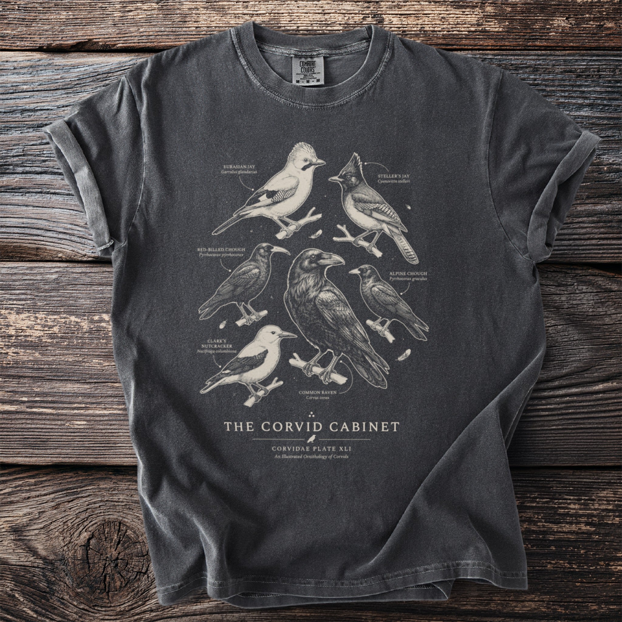 The Corvid Cabinet t-shirt features illustrations of various corvids with their names.