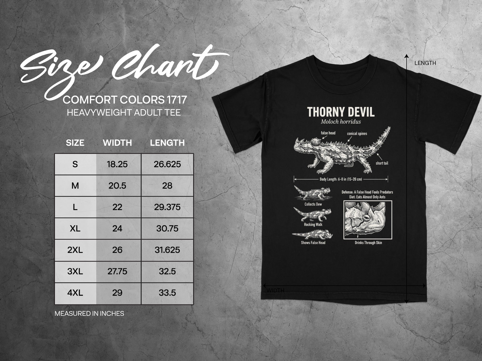Comfort Colors 1717 garment size chart in inches.