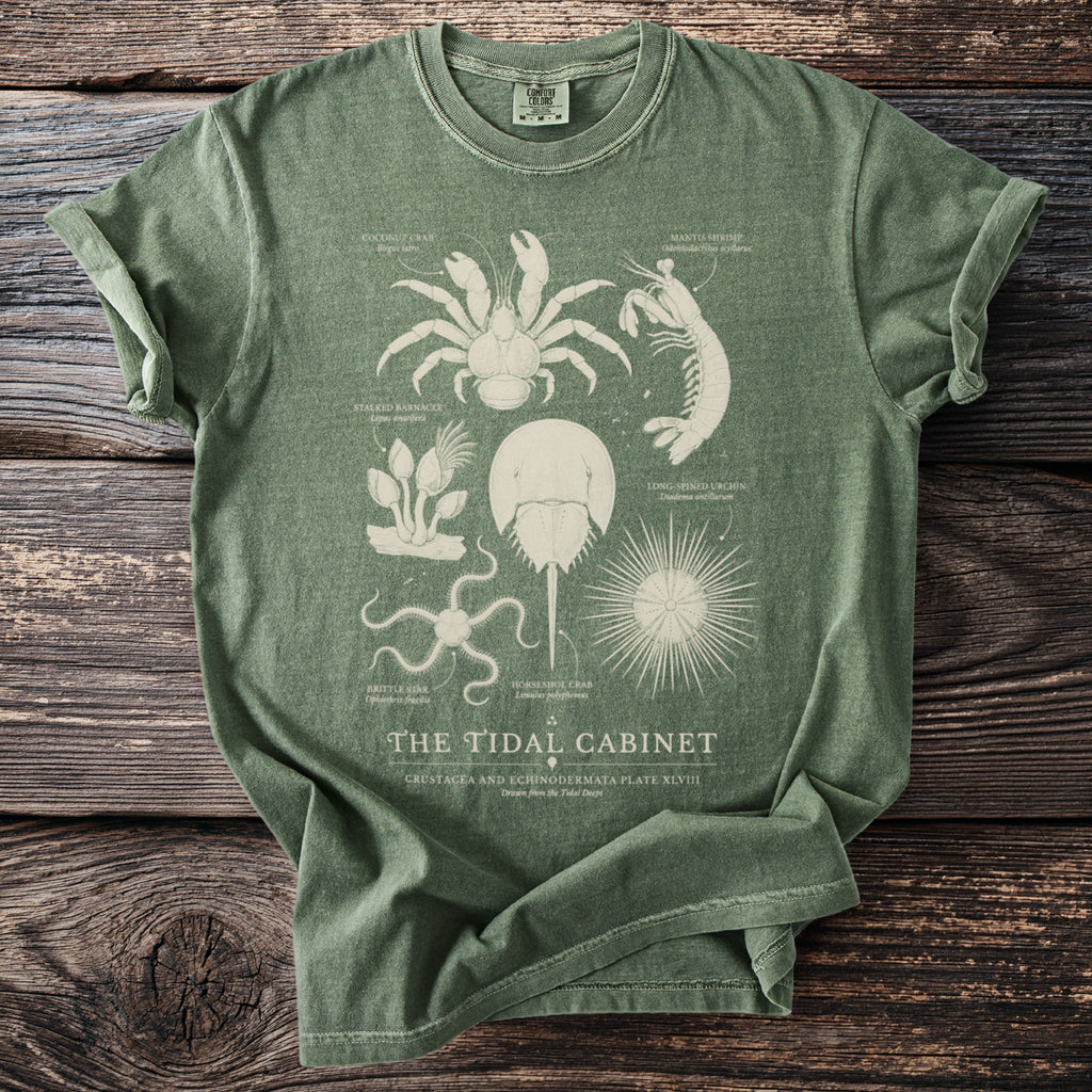 Green t-shirt with vintage illustrations of marine life and "The Tidal Cabinet" title.