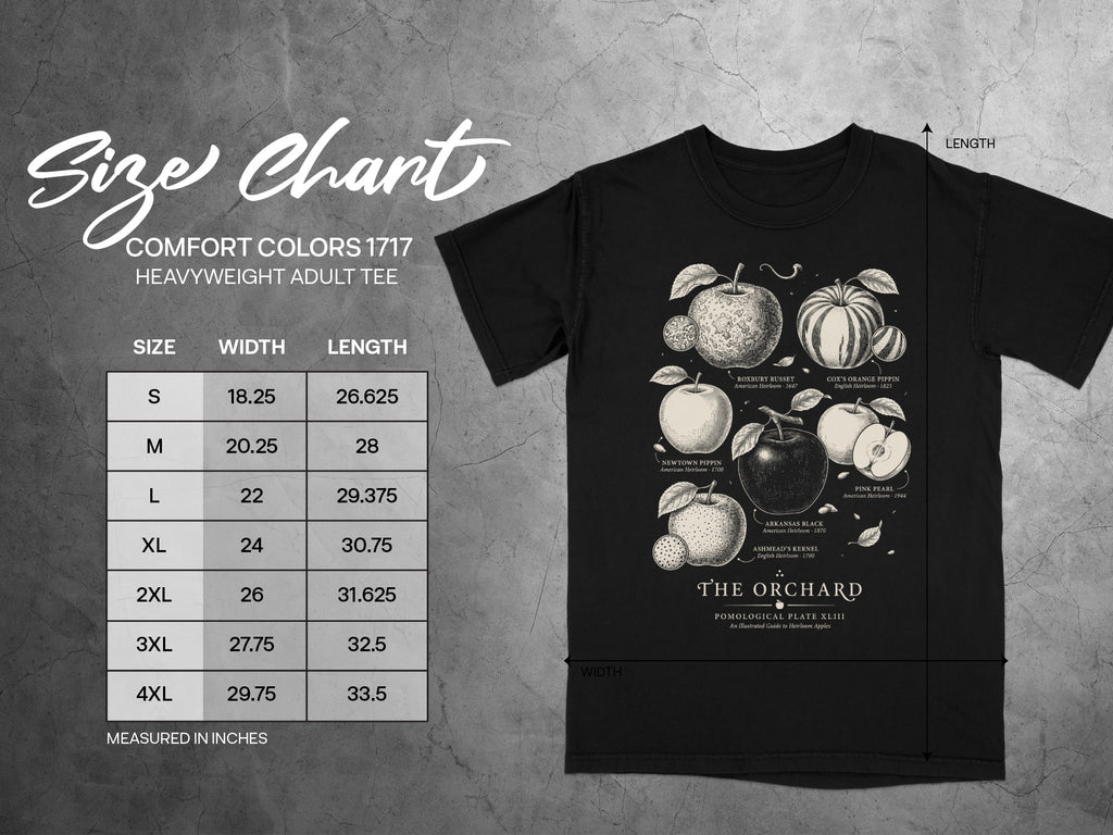 Size chart for a black Comfort Colors 1717 heavyweight adult tee with apple illustrations.