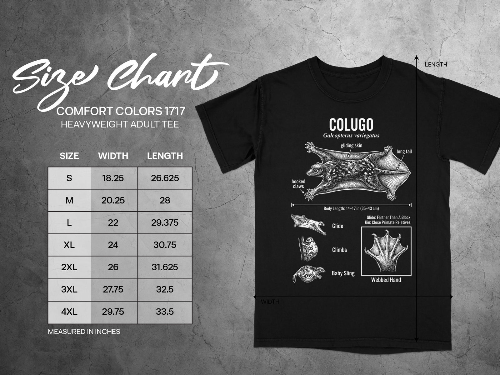 Colugo size chart with measurements for Comfort Colors heavyweight adult tee.