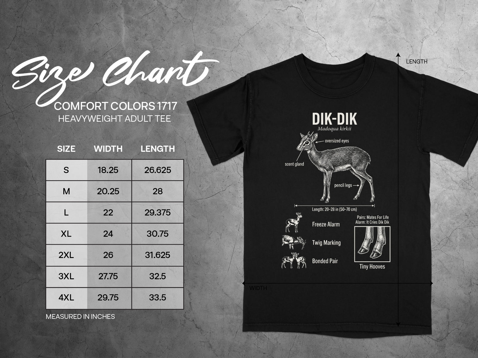 Comfort Colors 1717 size chart with Dik-Dik animal illustration.