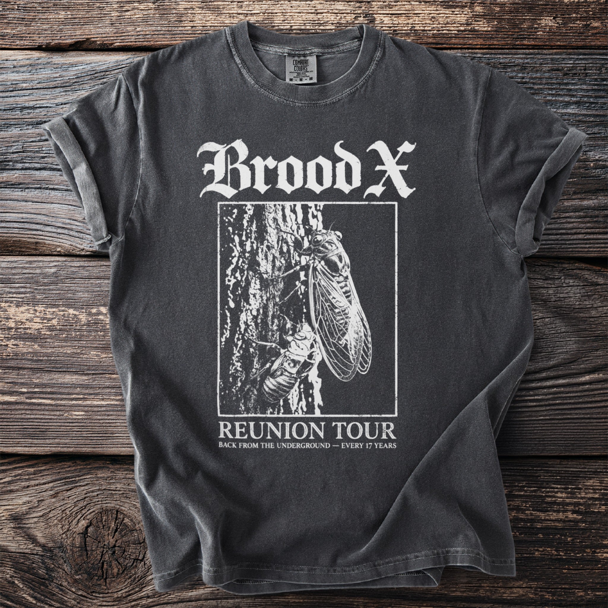 Brood X "Reunion Tour" t-shirt featuring a cicada on a tree with text.