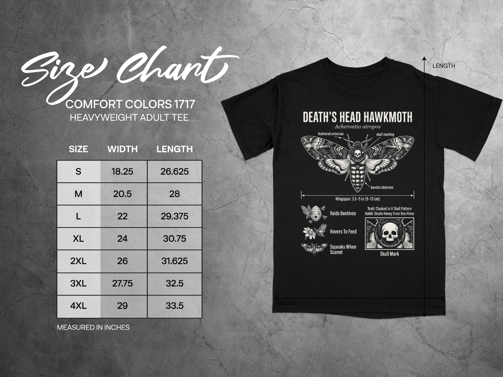 Comfort Colors 1717 garment size chart in inches.
