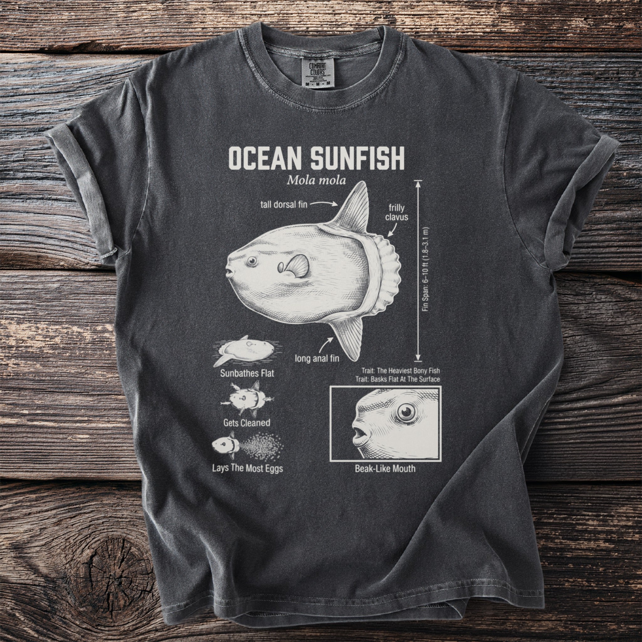 T-shirt with an illustration of an ocean sunfish and its features.
