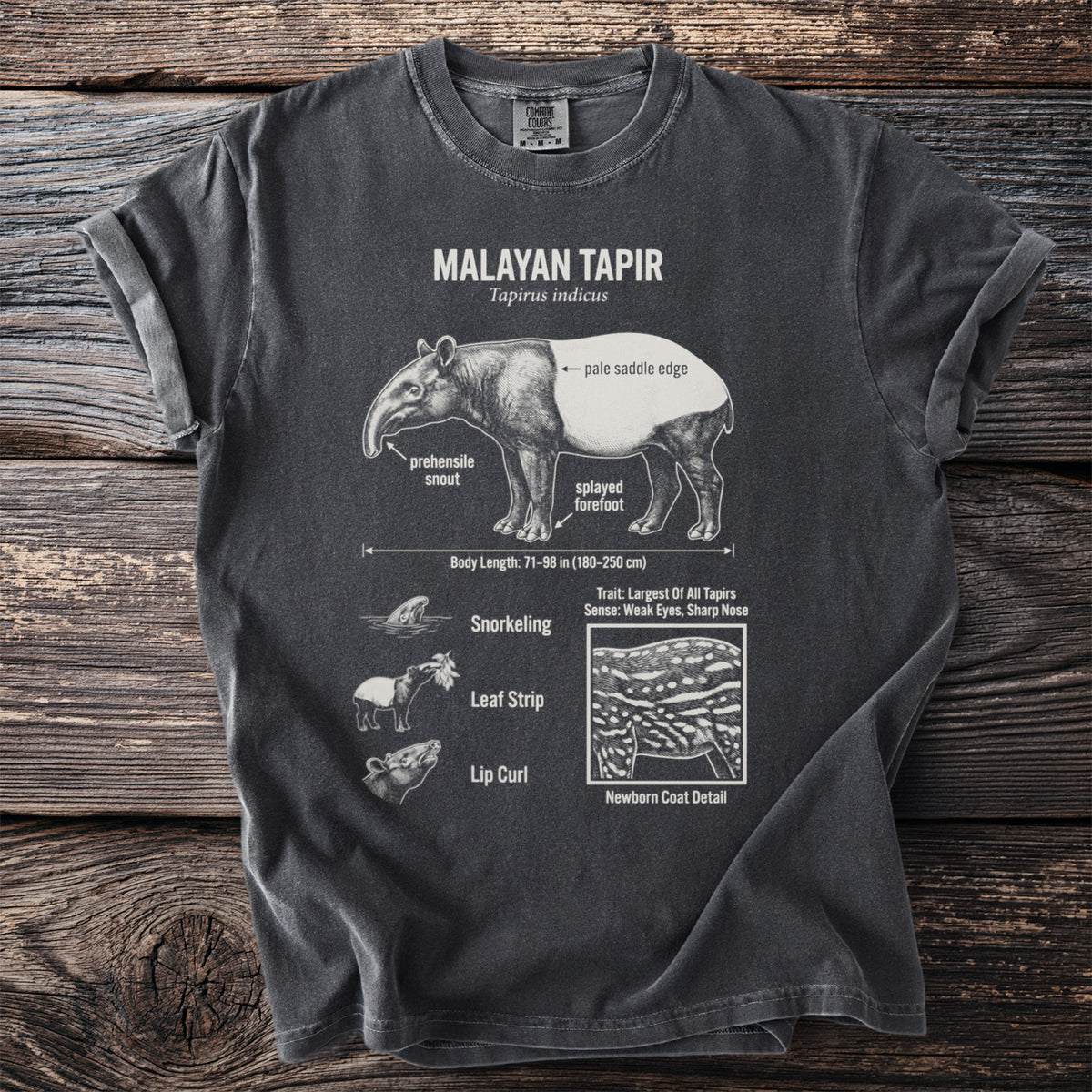 Malayan Tapir anatomy diagram with body length and traits on a charcoal t-shirt.