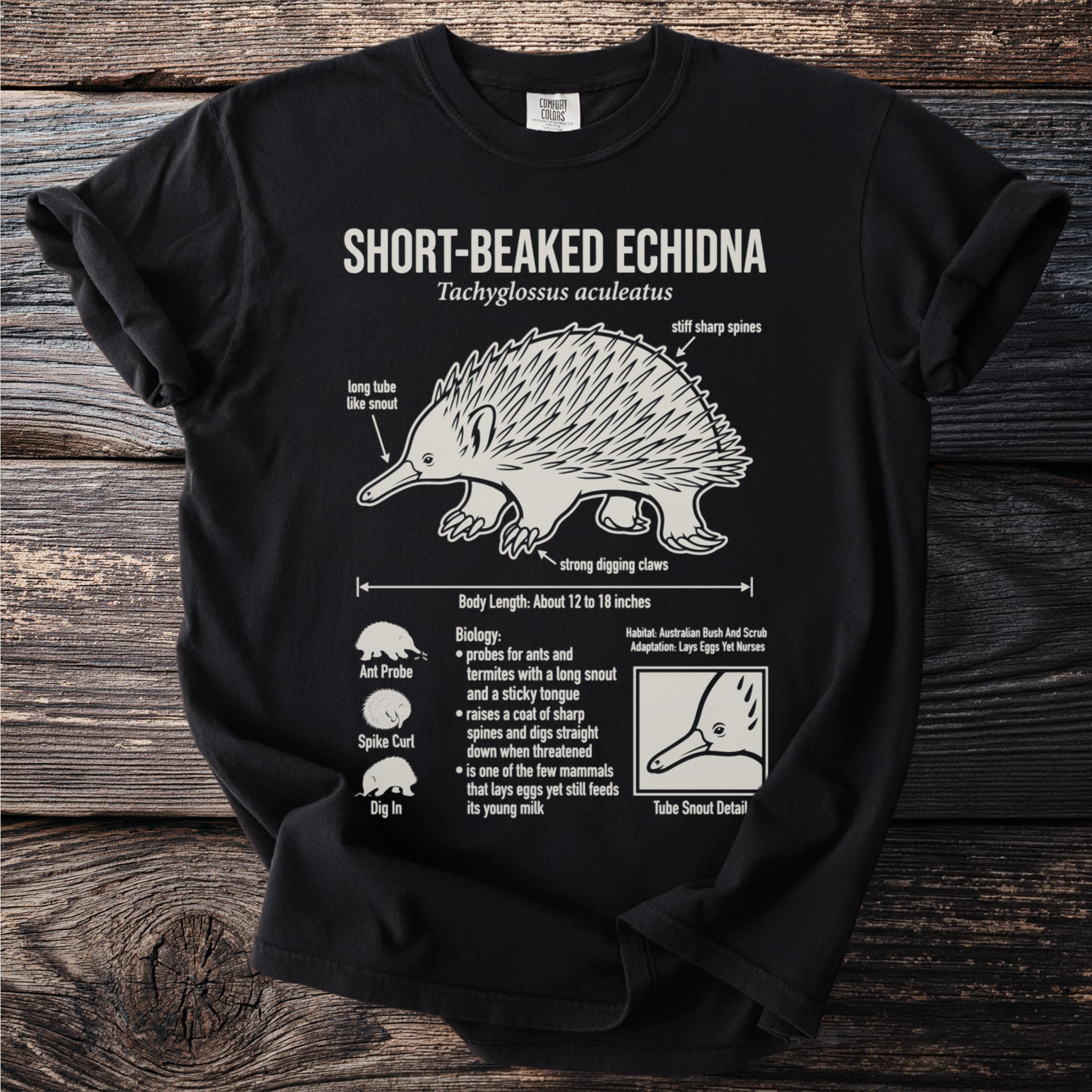 Black t-shirt with educational print about short-beaked echidnas, including features and biology.