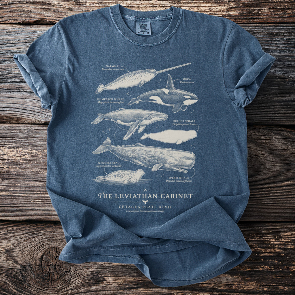 Blue t-shirt with detailed illustrations of narwhal, orca, humpback whale, beluga, sperm whale, and seal.
