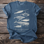 Blue t-shirt with detailed illustrations of narwhal, orca, humpback whale, beluga, sperm whale, and seal.