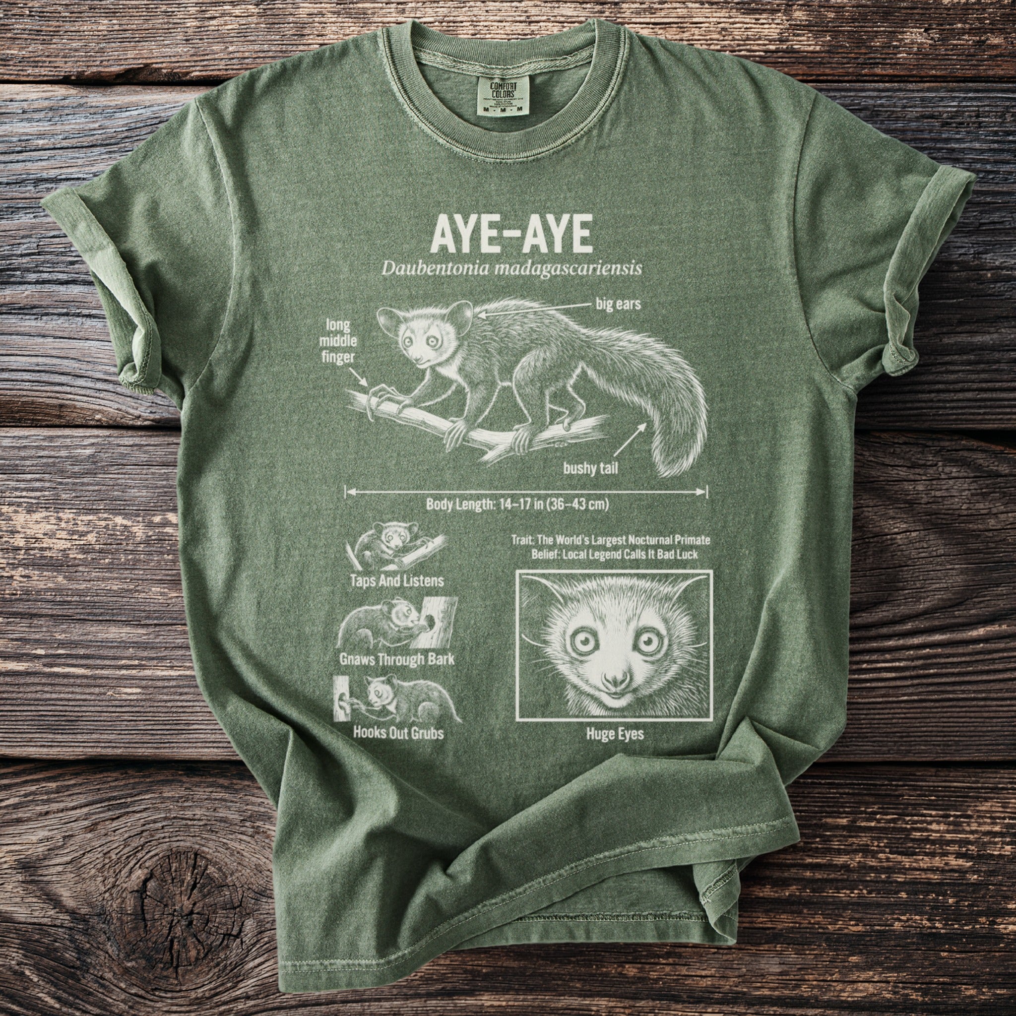 Green t-shirt with Aye-Aye illustration, scientific name, and facts.