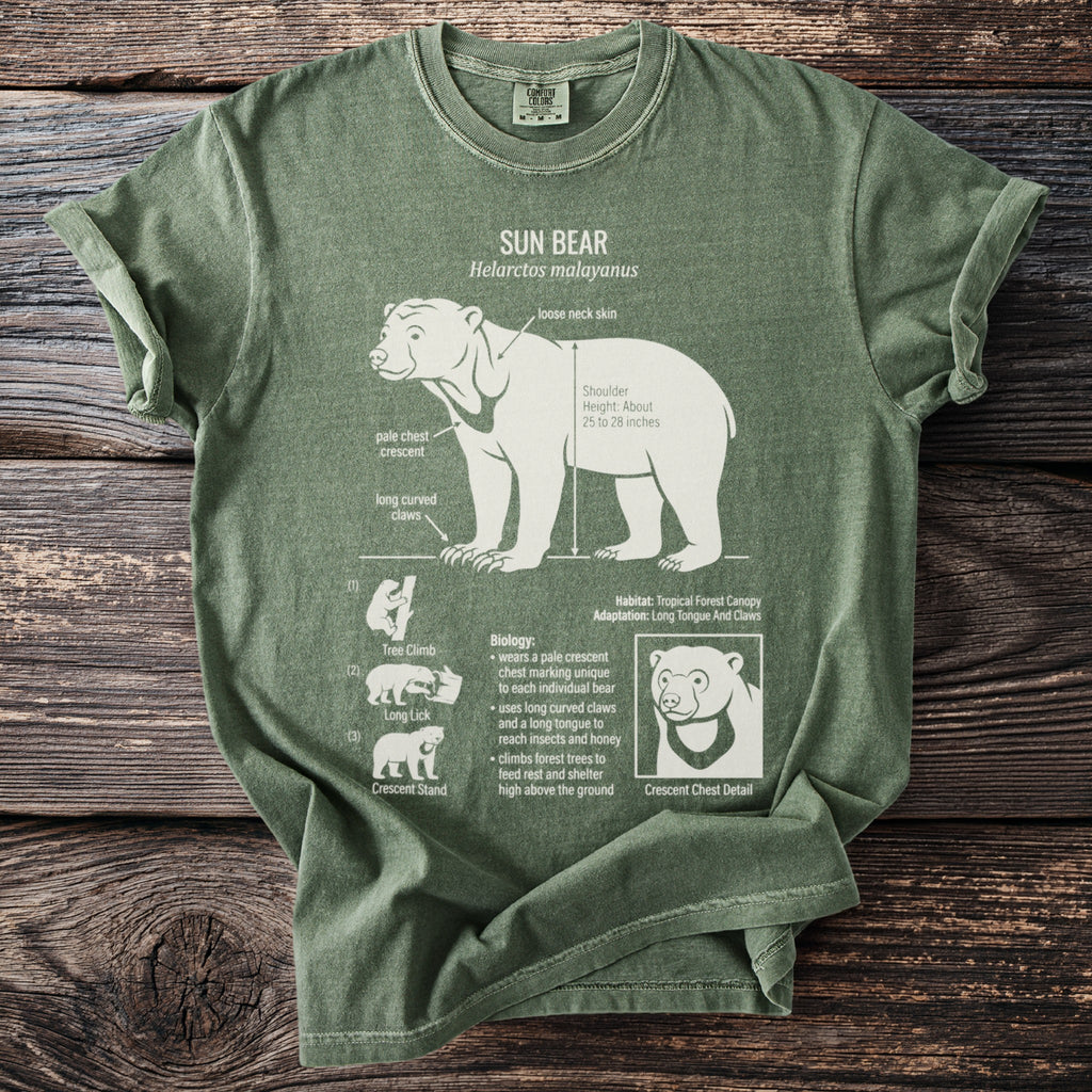 Green t-shirt with Sun Bear diagram and biological details.