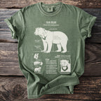 Green t-shirt with Sun Bear diagram and biological details.