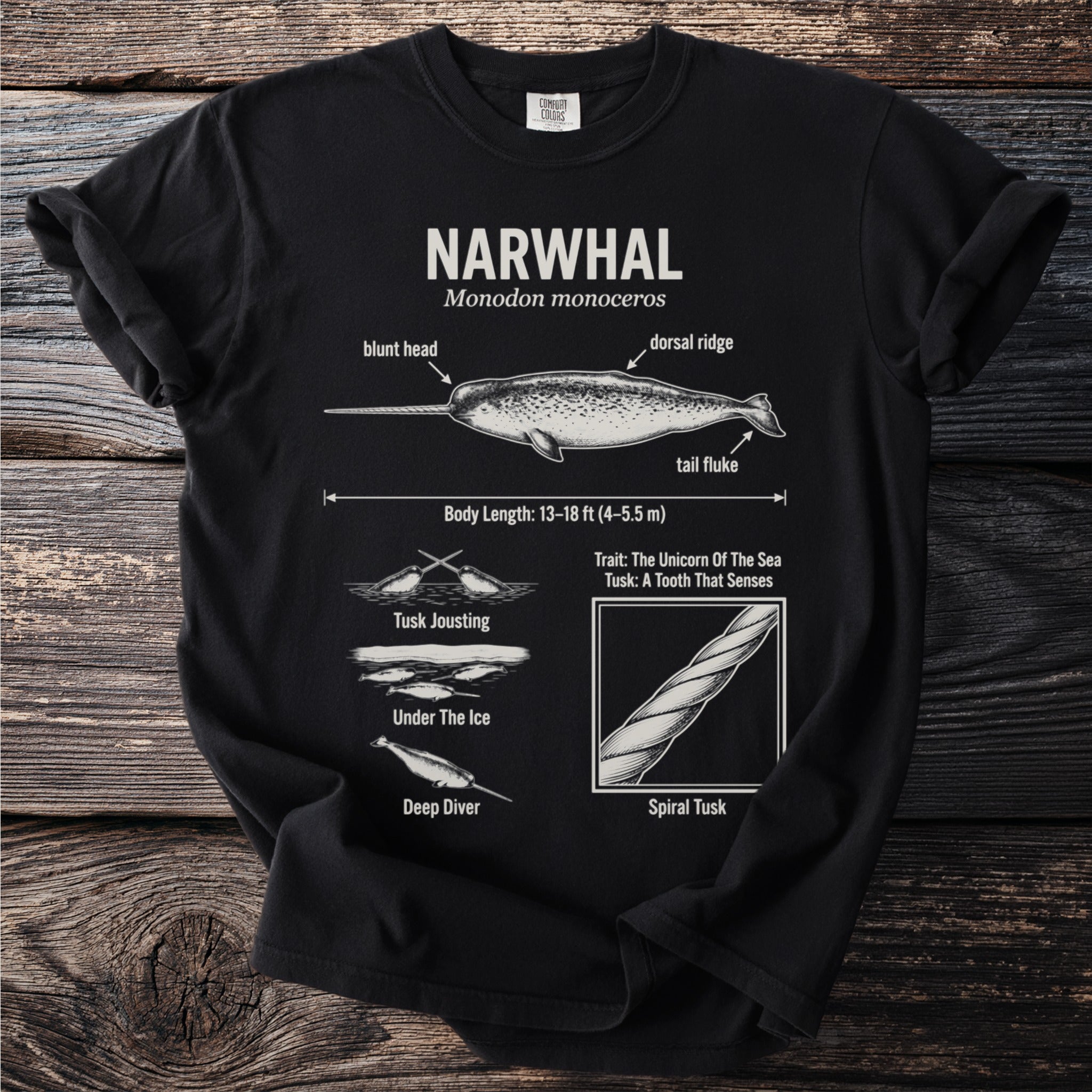 Black t-shirt with diagram of narwhal and text detailing its anatomy and traits.