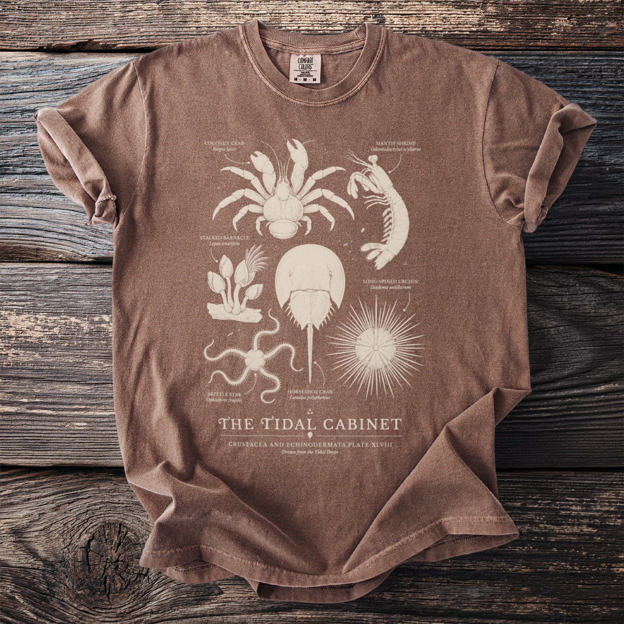 Brown t-shirt with illustration of marine life: coconut crab, mantis shrimp, horseshoe crab, urchin, barnacle, brittle star.