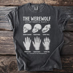 T-shirt with werewolf anatomy diagram: human cranium, transitional, and lupine skull, and hands.