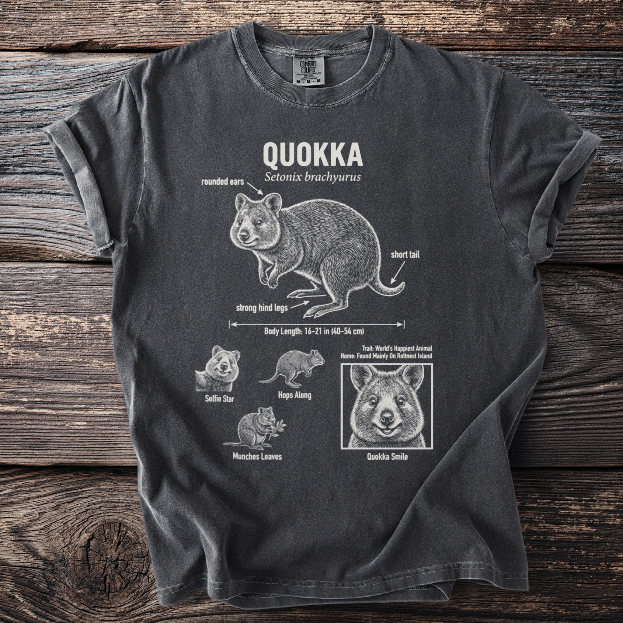 Dark grey t-shirt with illustration and facts about quokkas, including the text "QUOKKA" and scientific name.
