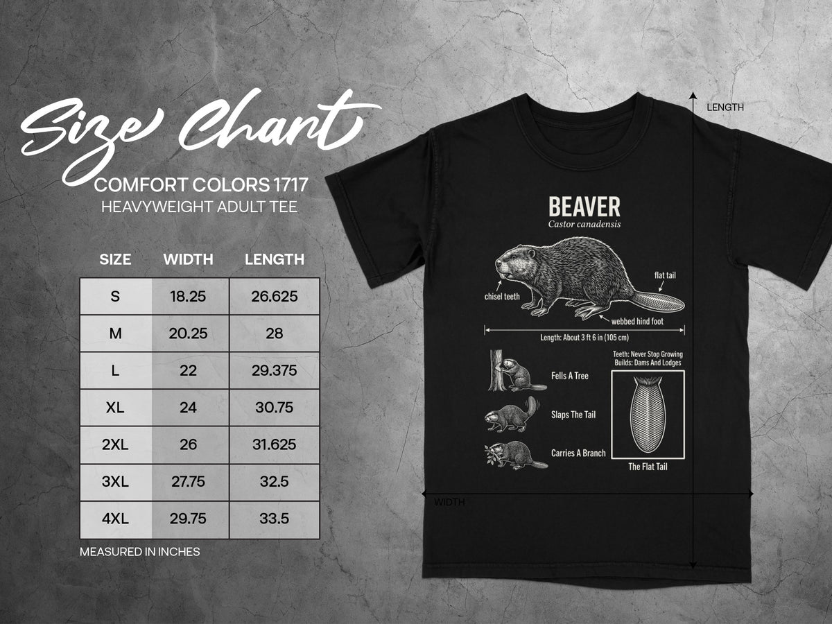 Comfort Colors 1717 heavyweight adult tee size chart with beaver graphic.