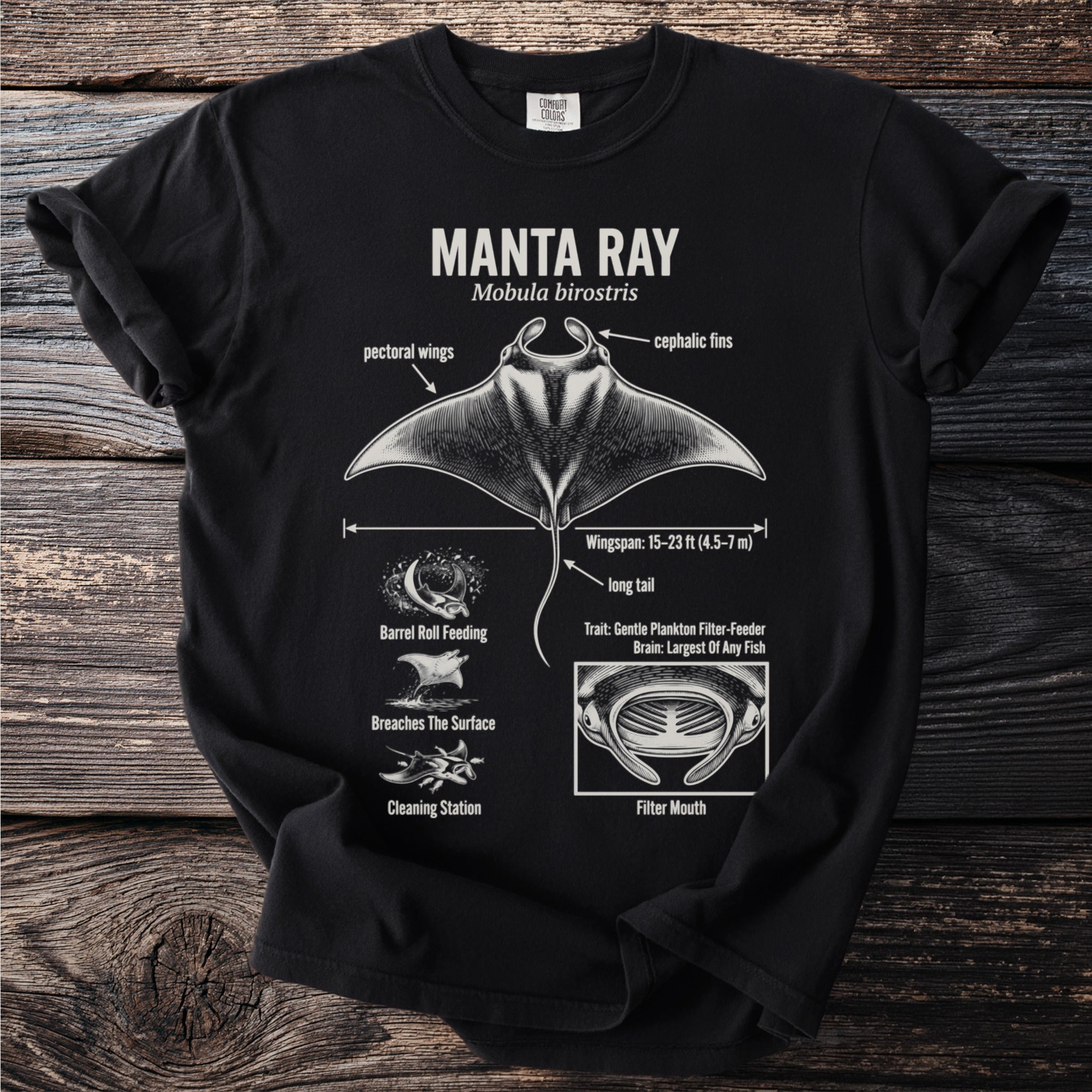 Black t-shirt with manta ray diagram, labeled wingspan, tail, and mouth.