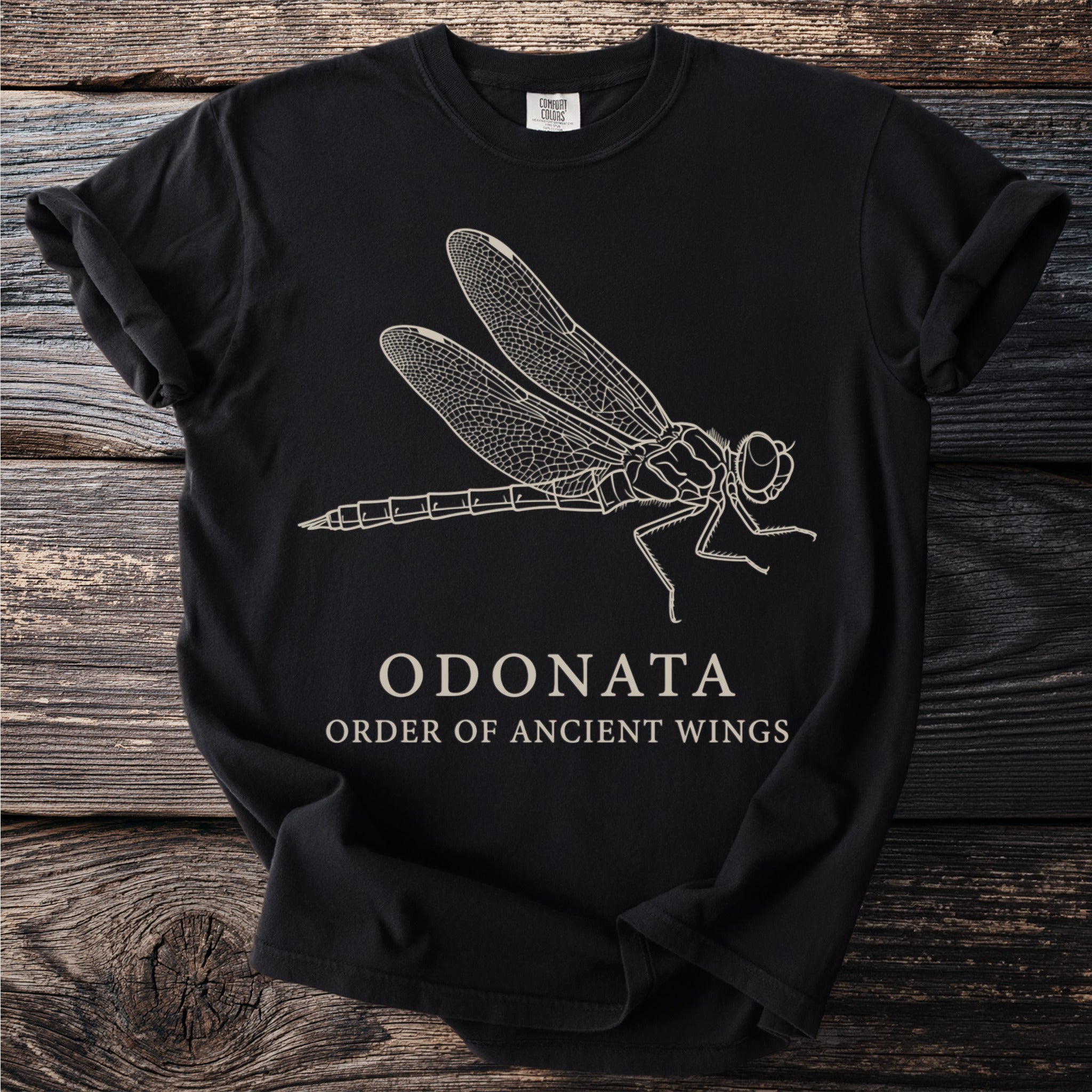 Black t-shirt with a line drawing of a dragonfly and text "ODONATA ORDER OF ANCIENT WINGS".