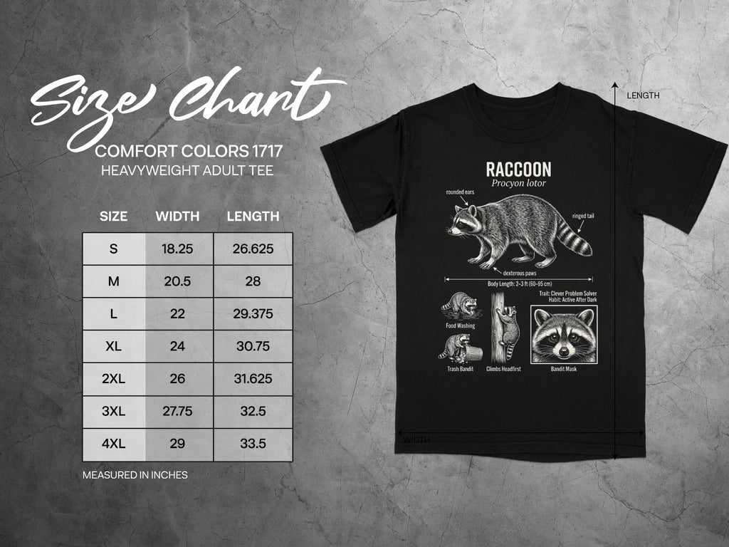 Comfort Colors 1717 garment size chart in inches.