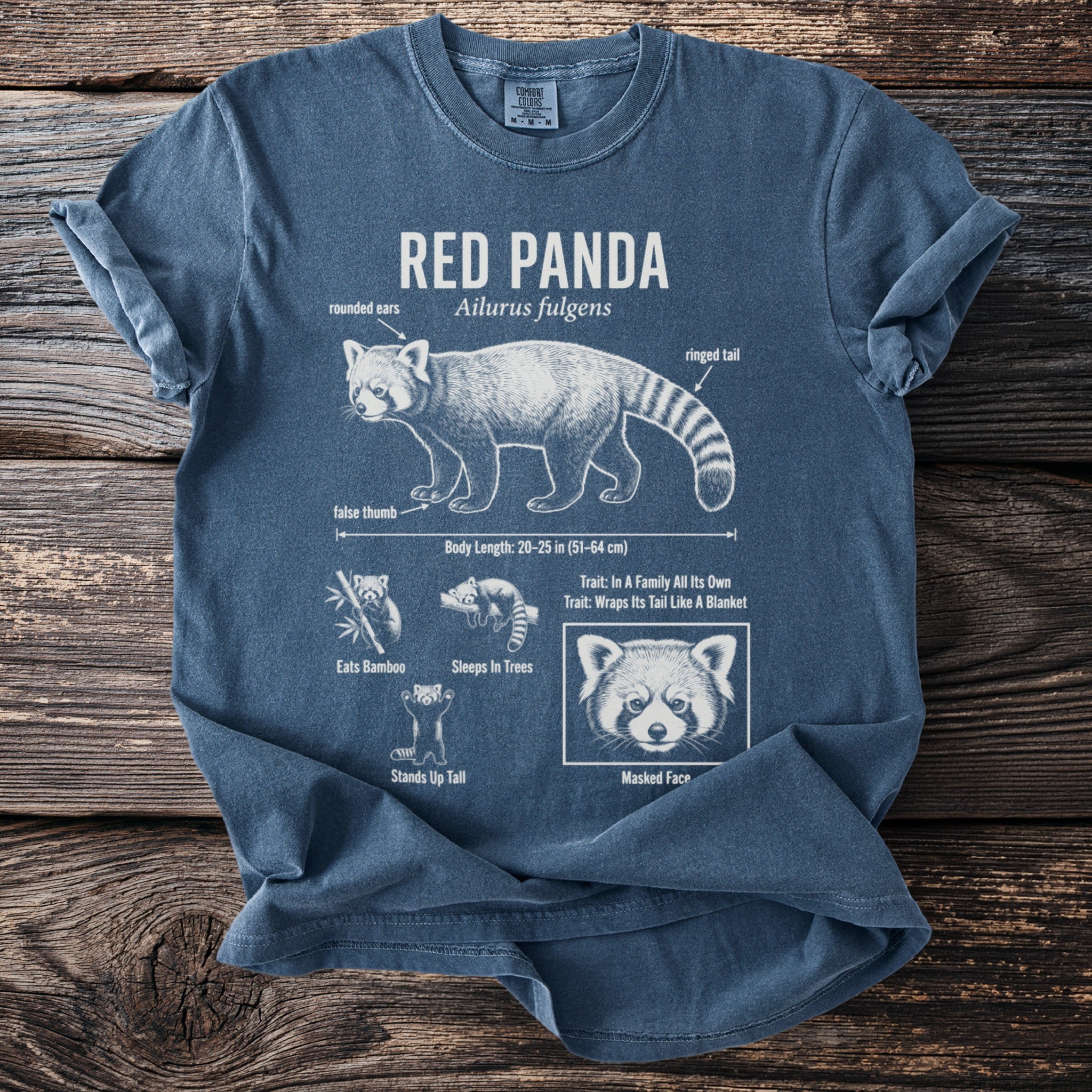 Blue t-shirt with red panda diagram and facts: "RED PANDA Ailurus fulgens," body length, and habitat.