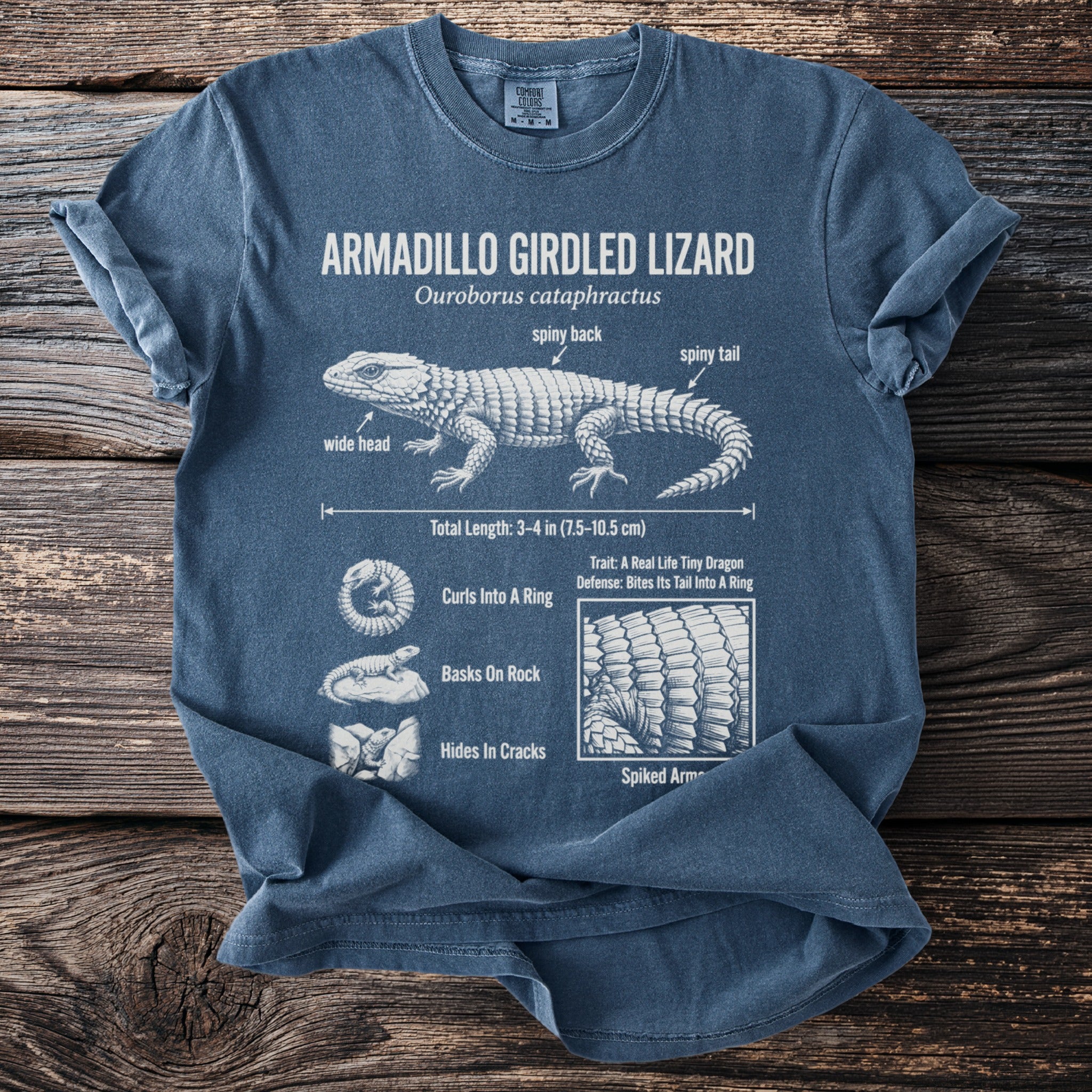 T-shirt graphic of an armadillo girdled lizard with anatomical details and behaviors labeled.