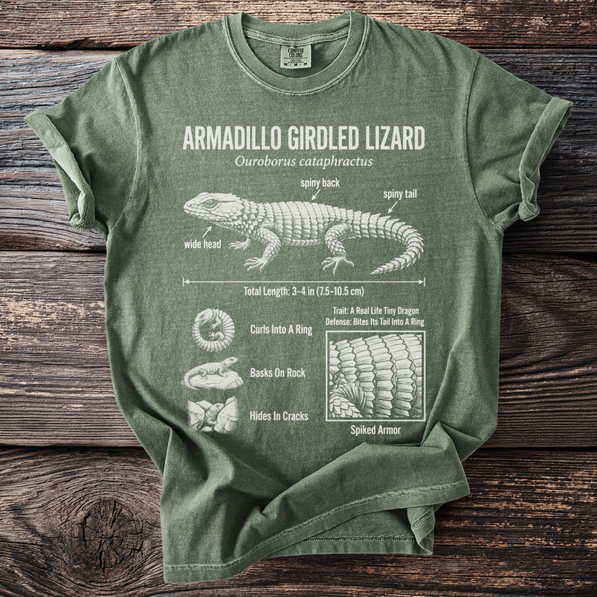 Green t-shirt with diagram and facts about the Armadillo Girdled Lizard.