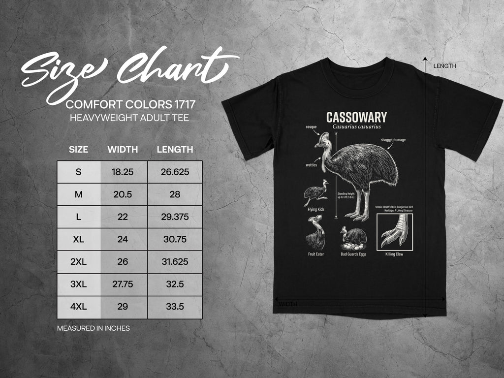 Comfort Colors 1717 garment size chart in inches.