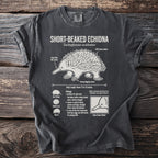 Short-beaked Echidna Tachyglossus aculeatus diagram on a charcoal t-shirt.
